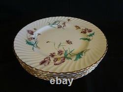 Royal Worcester China Meadowsweet Set of 6 Dinner Plates Lavender Flowers