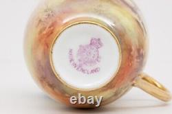 Royal Worcester Cup & Saucer Hand Painted, Hunting Horse Rider with Hounds Scene