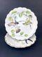 Royal Worcester Desert Plates The Birds of Dorothy Set of 3