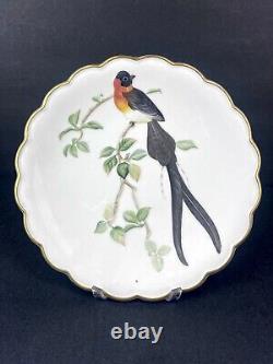 Royal Worcester Desert Plates The Birds of Dorothy Set of 3