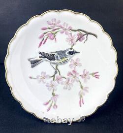 Royal Worcester Desert Plates The Birds of Dorothy Set of 3