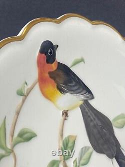 Royal Worcester Desert Plates The Birds of Dorothy Set of 3