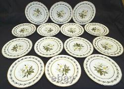 Royal Worcester England Bernina Set of 14 Salad Plates 8 Bone China