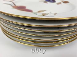 Royal Worcester Evesham Gold Dinner Plates (Set of 7)