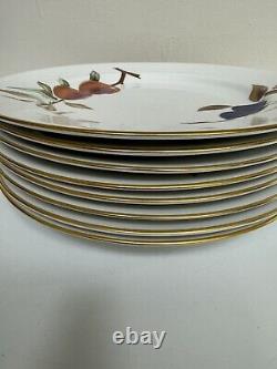 Royal Worcester Evesham Gold Porcelain Dinner Plate 10 5/8 SET of 8