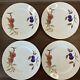 Royal Worcester Evesham Gold Rim Dinner Plates Set of 4