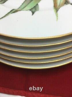 Royal Worcester Gold Trim Dinner Plates 10.1/8 Set of 6