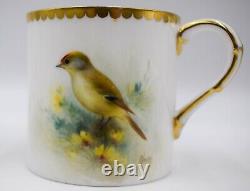 Royal Worcester Hand Painted Cup & Saucer Goldcrest Bird, Artist Signed