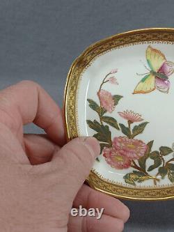 Royal Worcester Hand Painted Floral Butterfly Gold Demitasse Cup & Saucer B