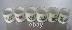 Royal Worcester Herbs Set of 6 Coffee Mugs All Varieties Green Trim