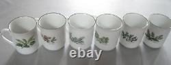 Royal Worcester Herbs Set of 6 Coffee Mugs All Varieties Green Trim