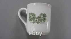 Royal Worcester Herbs Set of 6 Coffee Mugs All Varieties Green Trim