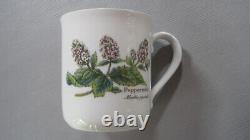 Royal Worcester Herbs Set of 6 Coffee Mugs All Varieties Green Trim