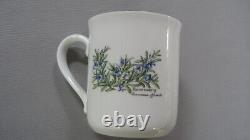 Royal Worcester Herbs Set of 6 Coffee Mugs All Varieties Green Trim