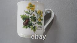 Royal Worcester Herbs Set of 6 Coffee Mugs All Varieties Green Trim