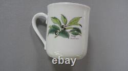 Royal Worcester Herbs Set of 6 Coffee Mugs All Varieties Green Trim