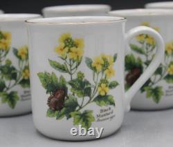 Royal Worcester Herbs Set of 6 Coffee Mugs Bay Black Mustard Pattern Gold Trim