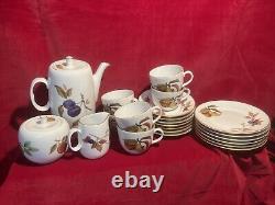 Royal Worcester Oven To Table Porcelain Coffee/Tea Set Evesham -24 Piece (R3)