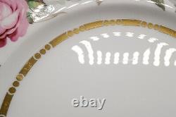 Royal Worcester Royal Garden Salad Plates 8 Set of 12 FREE USA SHIPPING