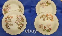 Royal Worcester Set 8 Blush Ivory Botanical Hand Ptd Shell Deep Plates C-1889