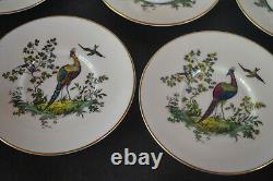 Royal Worcester Set Of 8 Demitasse Cups With Saucers Pheasants