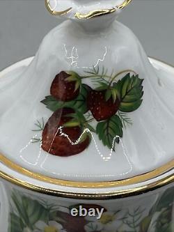 Royal Worcester Spode Hammersley Bone China Strawberry Ripe Coffee Pot Set