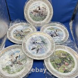 Royal Worcester Water Birds Of North America 6 Plate Set 1985 NEW Vtg England