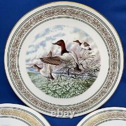Royal Worcester Water Birds Of North America 6 Plate Set 1985 NEW Vtg England