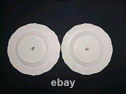 Royal Worcester Z 2218 10.5 Dinner Plates Gold Rim Trim Set of 10