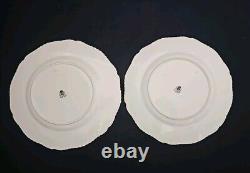 Royal Worcester Z 2218 10.5 Dinner Plates Gold Rim Trim Set of 10