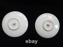 Royal Worcester fruit, hand painted Cups and Saucers Set of 6 signed