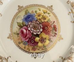 Set 12 Royal Worcester England Hand Painted Floral Dinner Plates