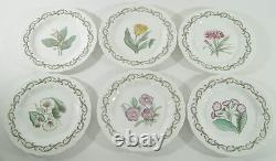 Set 12 Vintage Royal Worcester Williamson Enameled Porcelain Botanical Plates