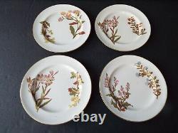 Set 4 Antique Royal Worcester Blush Ivory Art Nouveau Botanical Plates