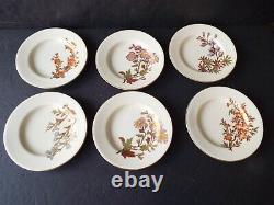 Set 6 Royal Worcester Antique Blush Ivory Botanical Floral Art Nouveau Plates