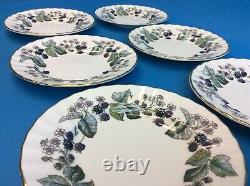 Set 6 Royal Worcester Fine Bone China Lavinia England Small Plates Bread Butter