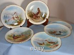 Set Of 6 Antique Royal Worcester Hand Painted Wild Bird Plate Plates