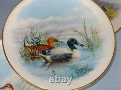 Set Of 6 Antique Royal Worcester Hand Painted Wild Bird Plate Plates