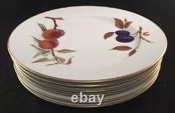 Set Of 6 Royal Worcester Porcelain Evesham Gold Pattern Dinner Plates 10.1/2