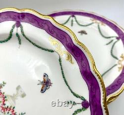 Set Of 8 Rare 1902 Royal Worcester Lunch Plates W577 Mortlock's Oxford St
