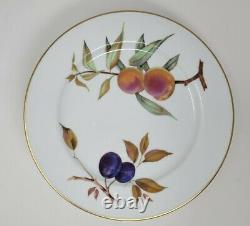 Set Of 8-Royal Worcester Evesham Gold Dinner Plates 10-1/8