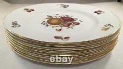 Set Of 8 Royal Worcester Fine Bone China Delecta Pattern Dinner Plates