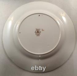 Set Of 8 Royal Worcester Fine Bone China Delecta Pattern Dinner Plates