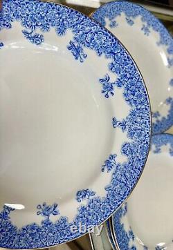 Set Of 9 Antique 1888 Royal Worcester Vitreous Porcelain 10.5 Dinner Plates