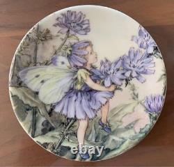 Set Of Flower Fairies Royal Worcester Decorative Plate Mini
