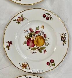 Set of 15 Royal Worcester DELECTA Fruit Dinner Plates and Salad Plates, England