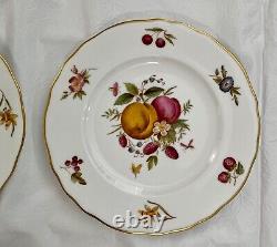 Set of 15 Royal Worcester DELECTA Fruit Dinner Plates and Salad Plates, England