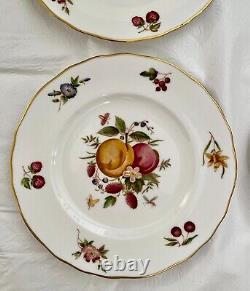 Set of 15 Royal Worcester DELECTA Fruit Dinner Plates and Salad Plates, England