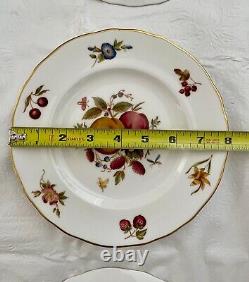 Set of 15 Royal Worcester DELECTA Fruit Dinner Plates and Salad Plates, England