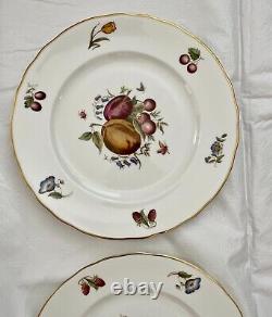 Set of 15 Royal Worcester DELECTA Fruit Dinner Plates and Salad Plates, England